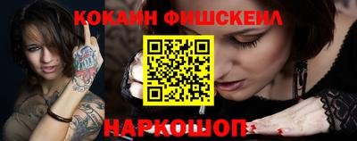 крисы Славгород