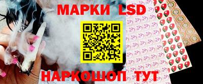 крисы Славгород