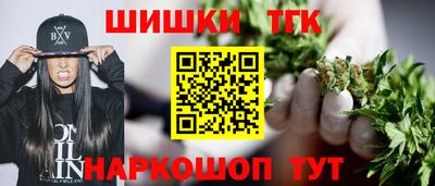 крисы Славгород
