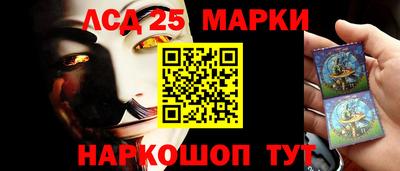 крисы Славгород
