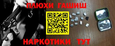 крисы Славгород