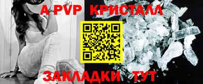 крисы Славгород