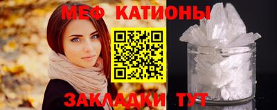 крисы Славгород